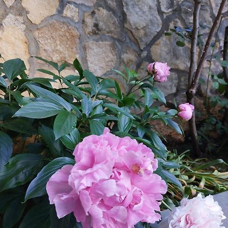 Bed and Breakfast Da Noi Due Bergamo Esterno foto