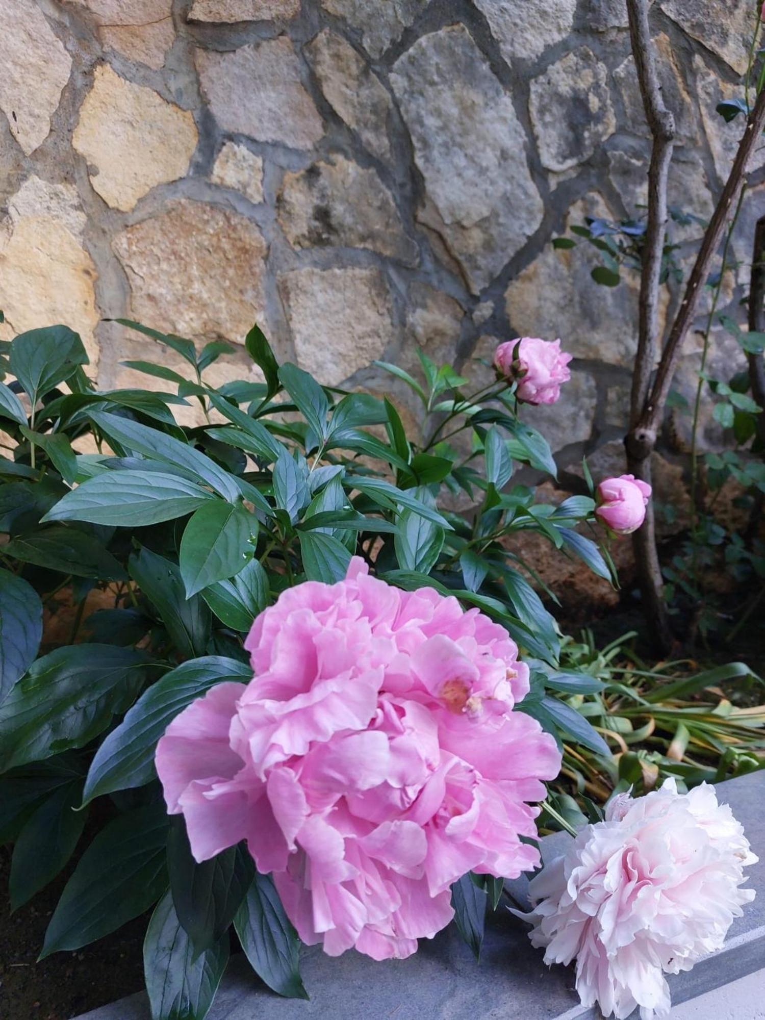 Bed and Breakfast Da Noi Due Bergamo Esterno foto